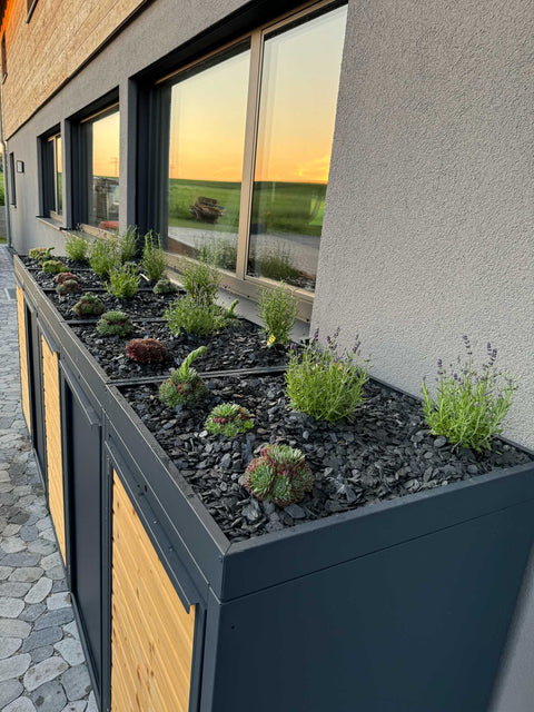 BIO Stefan Holzmichl Mülltonnenbox 5er 240l in Anthrazit Pflanzdach von oben mit Hauswurz, Lavendel und Schiefermulch